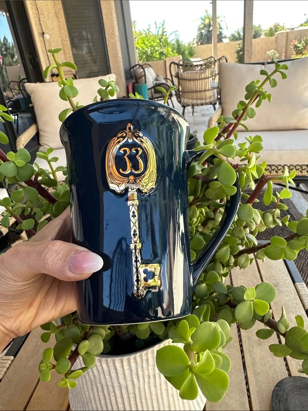 Beautiful Club 33 key mug!!
